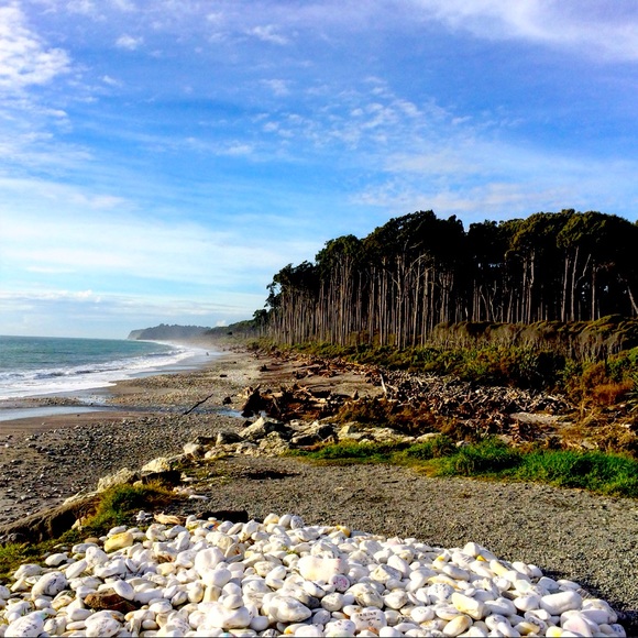 Meet your Posher, Kaitlin - Picture 1 of 1